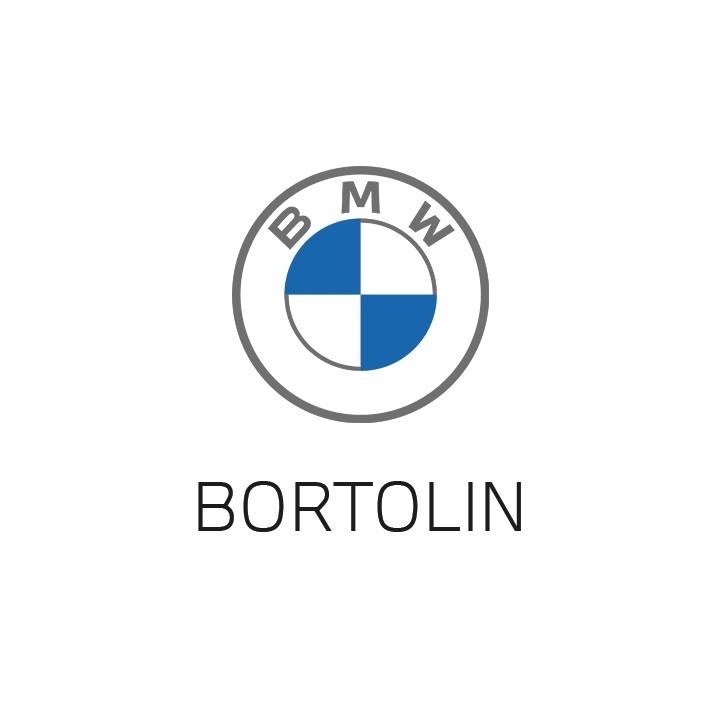 logo Bortolin Huy s.a. (Used)