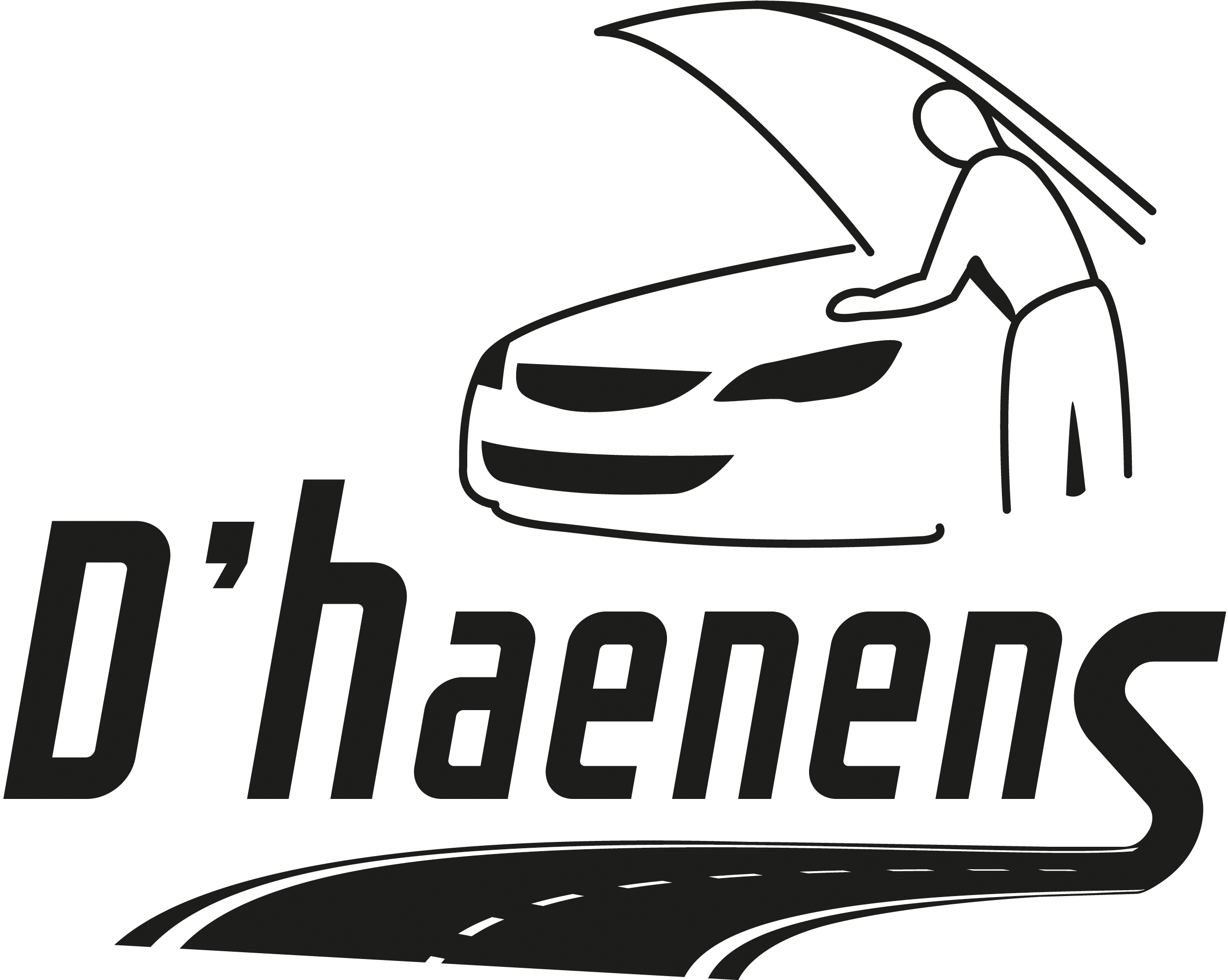 logo Dhaenens bvba