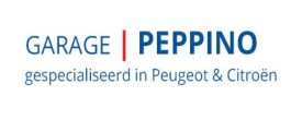 logo Peppino