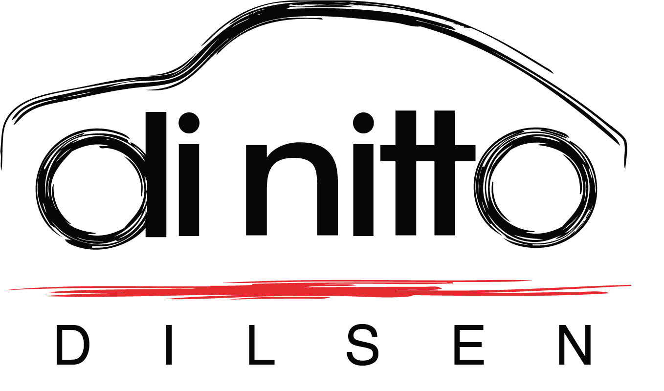 logo Di Nitto Dilsen